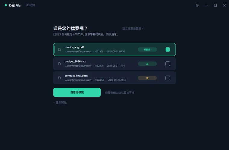 DéjàFile 依可救回程度為可能符合的檔案評級並列出，其中一個已選取，隨時可以還原。